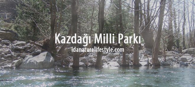 Kazdağı Milli Parkı