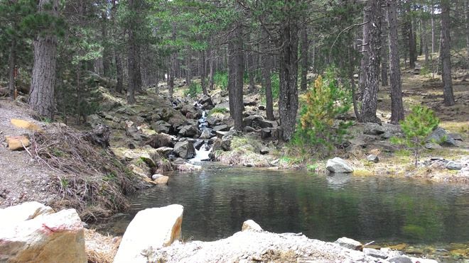 Kazdağları Su Birikintisi Manzarası